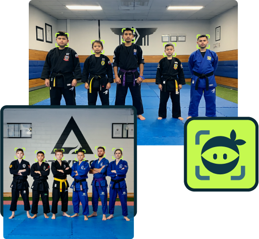 Dojo Software Interface